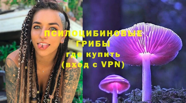 PSILOCYBIN Волоколамск